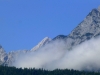 P1150631-001