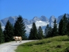 PICT0031