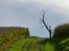 P1350146
