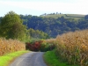 P1350158