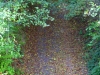 P1350187