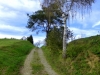 P1350192-001