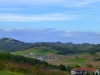 P1350193