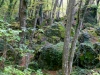 P1340470