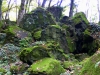 P1340474