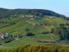 P1660385-001