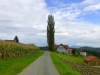 P1330553