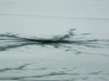 P1660466