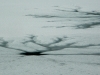 P1660468