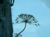 P1650566