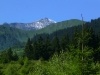 P1140749-001