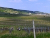 P1250939