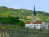 P1250951