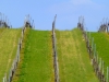 P1250980