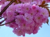 P1250983