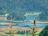 P1040048
