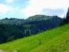 P1000913-001