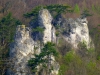P1250842