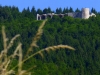 P1300459