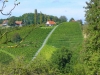 P1330733