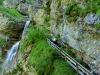 CIMG6245
