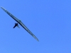 P1020689