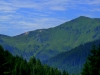 P1010099-001