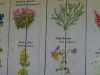 P1010121