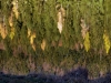 P1050483