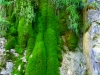 P1000686