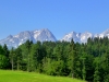 P1000690