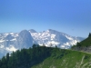 P1000787