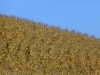 P1340639