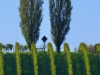 P1340015