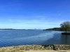 P1360598-001